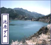 ikeharadamu