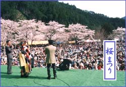 sakuramatsuri